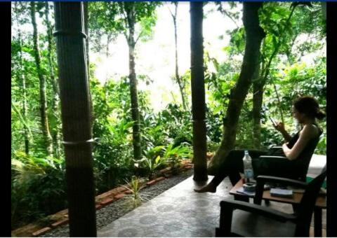 Periyar Green Bed & Breakfast Thekkady Extérieur photo